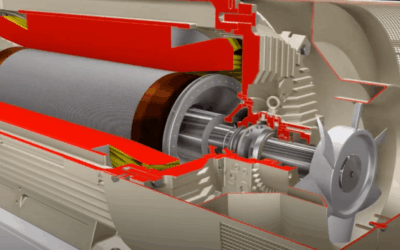 February 2021 Newsletter: Highlights